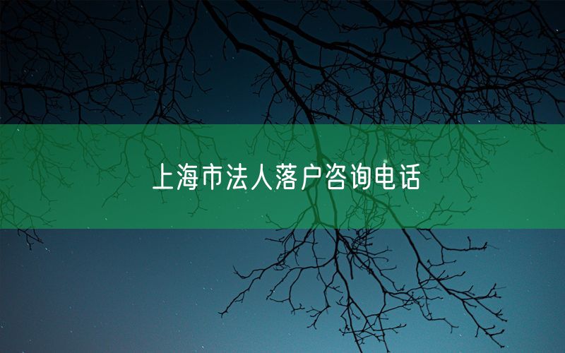 上海市法人落户咨询电话