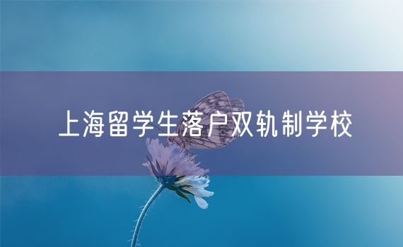 上海留学生落户双轨制学校