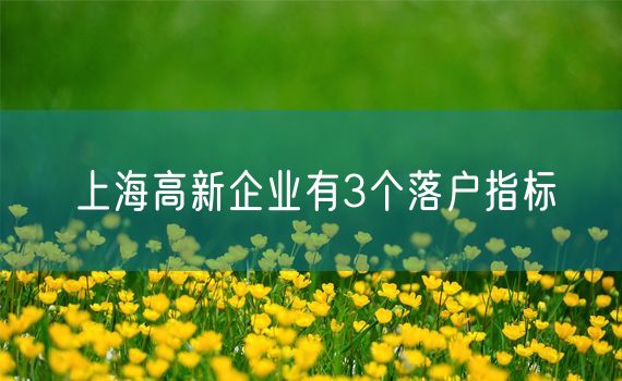 上海高新企业有3个落户指标