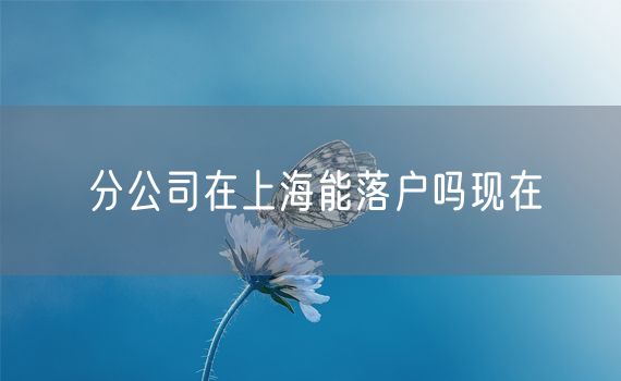 分公司在上海能落户吗现在