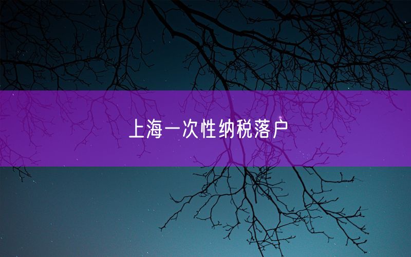 上海一次性纳税落户