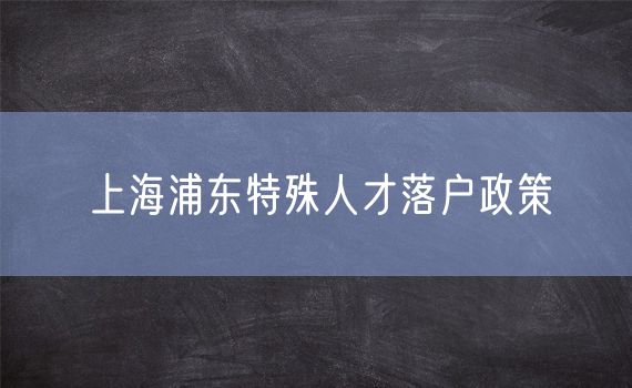 上海浦东特殊人才落户政策