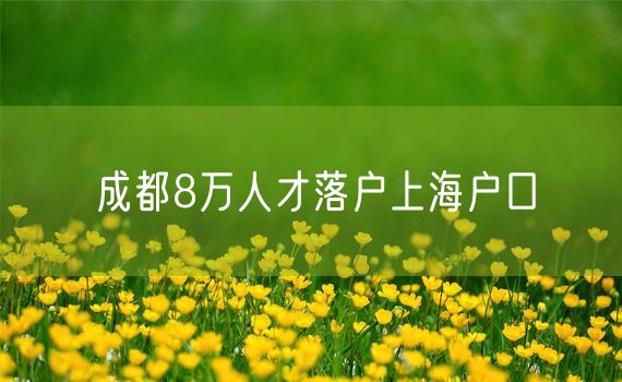 成都8万人才落户上海户口