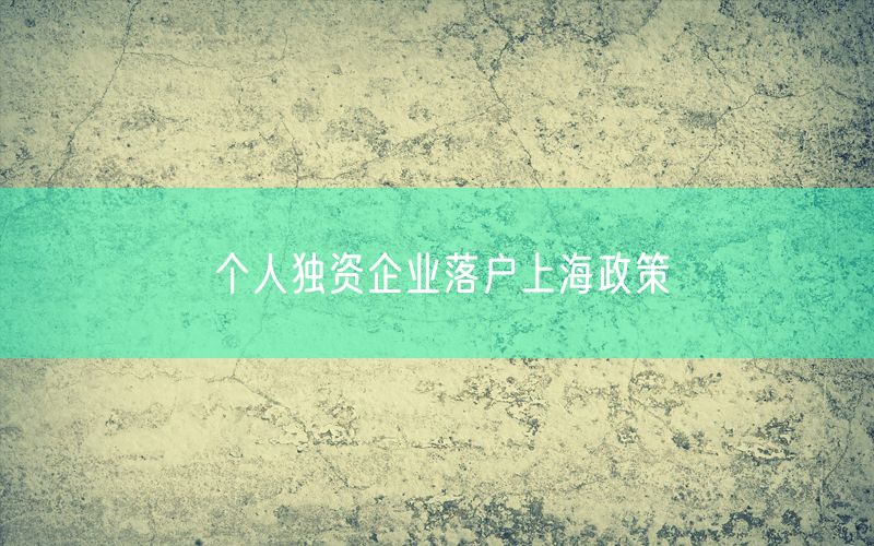 个人独资企业落户上海政策