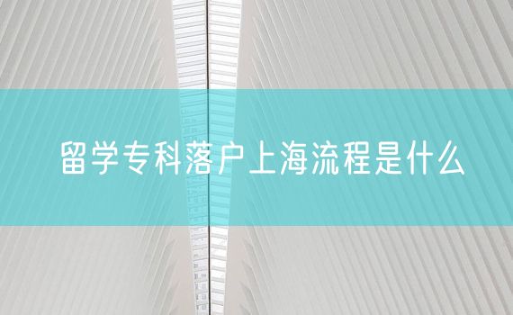 留学专科落户上海流程是什么