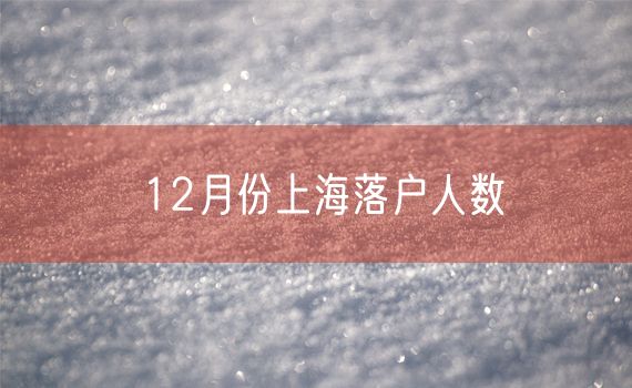 12月份上海落户人数