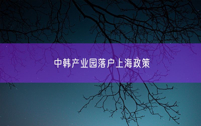 中韩产业园落户上海政策