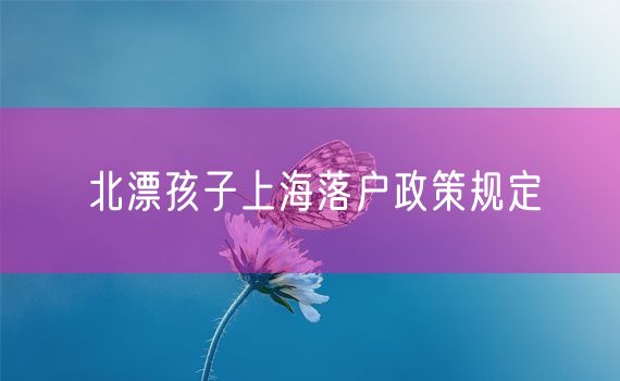 北漂孩子上海落户政策规定