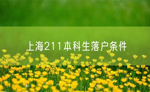 上海211本科生落户条件