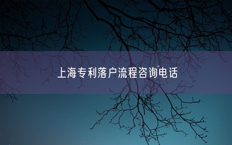 上海专利落户流程咨询电话