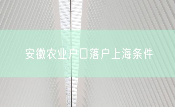 安徽农业户口落户上海条件