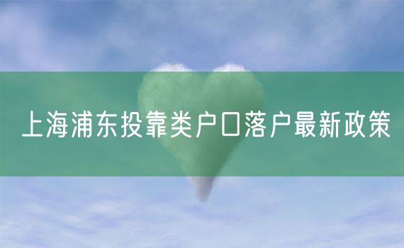 上海浦东投靠类户口落户最新政策