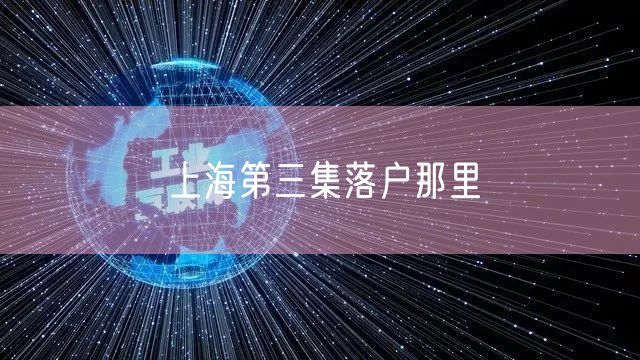 上海第三集落户那里