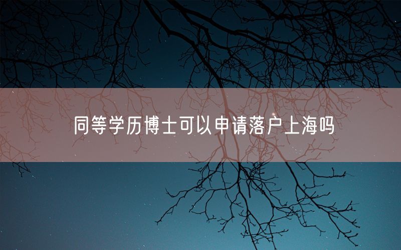 同等学历博士可以申请落户上海吗