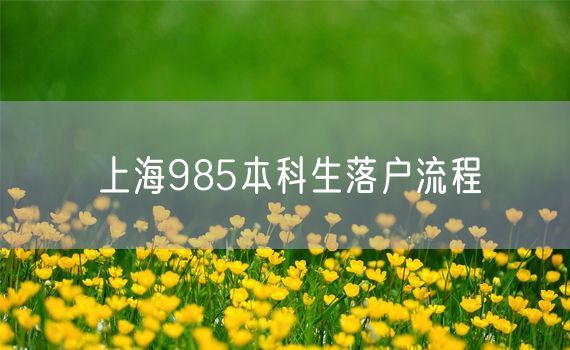 上海985本科生落户流程