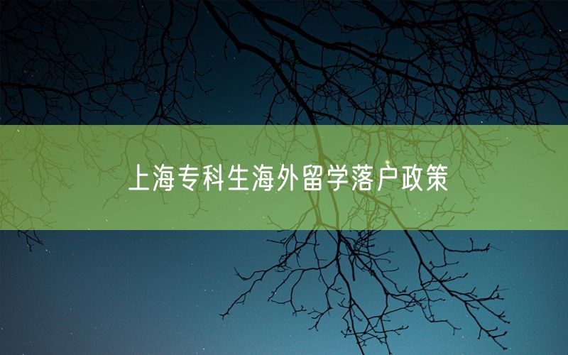 上海专科生海外留学落户政策