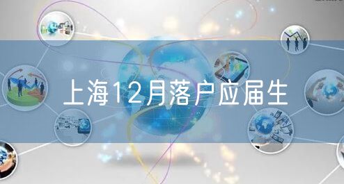 上海12月落户应届生