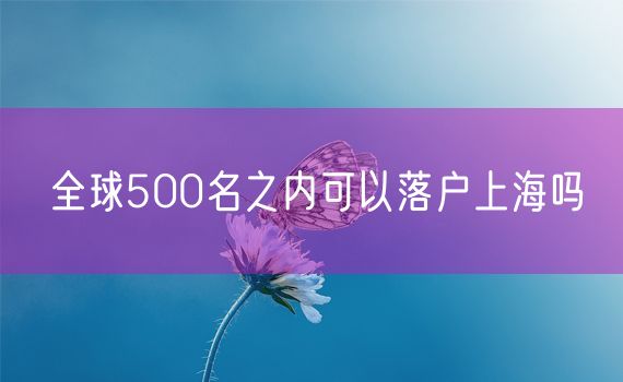 全球500名之内可以落户上海吗