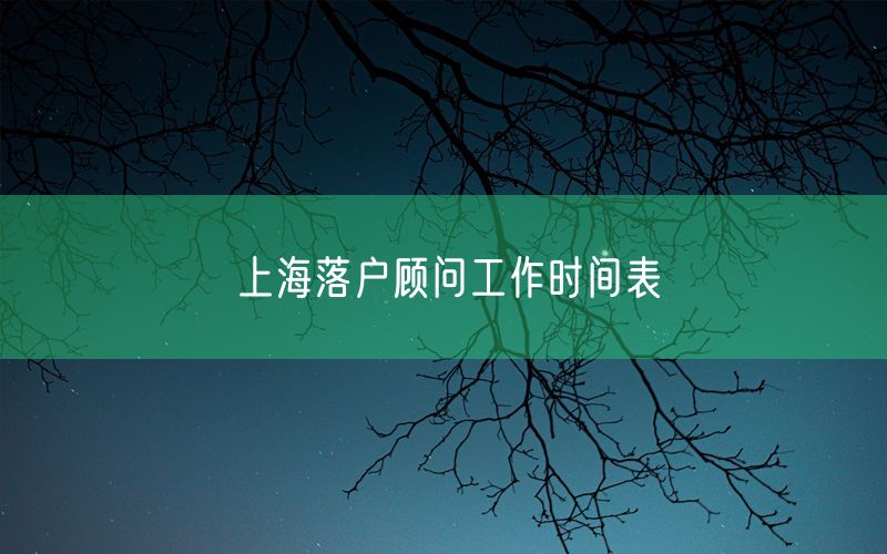 上海落户顾问工作时间表