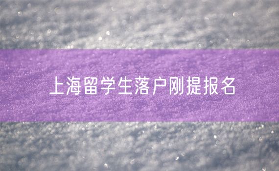 上海留学生落户刚提报名