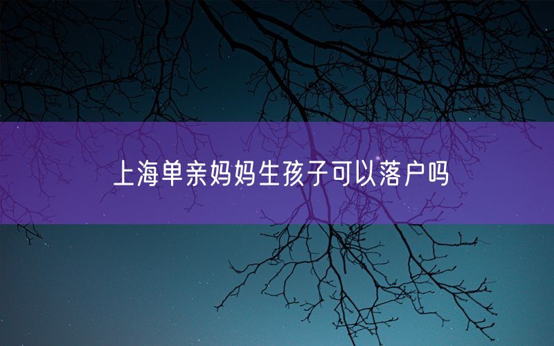 上海单亲妈妈生孩子可以落户吗