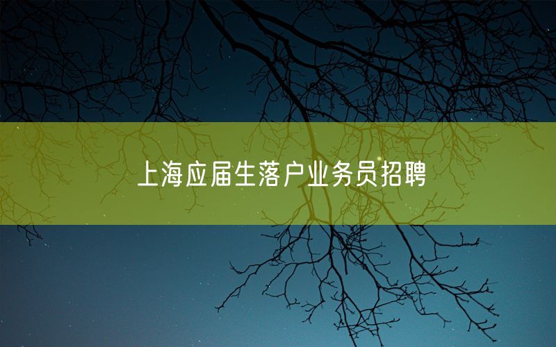 上海应届生落户业务员招聘