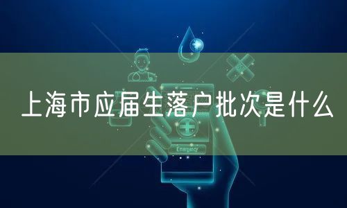 上海市应届生落户批次是什么