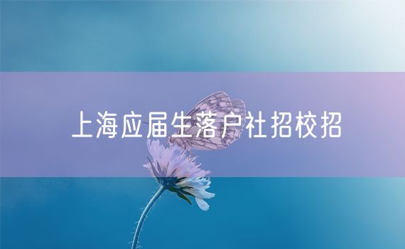 上海应届生落户社招校招