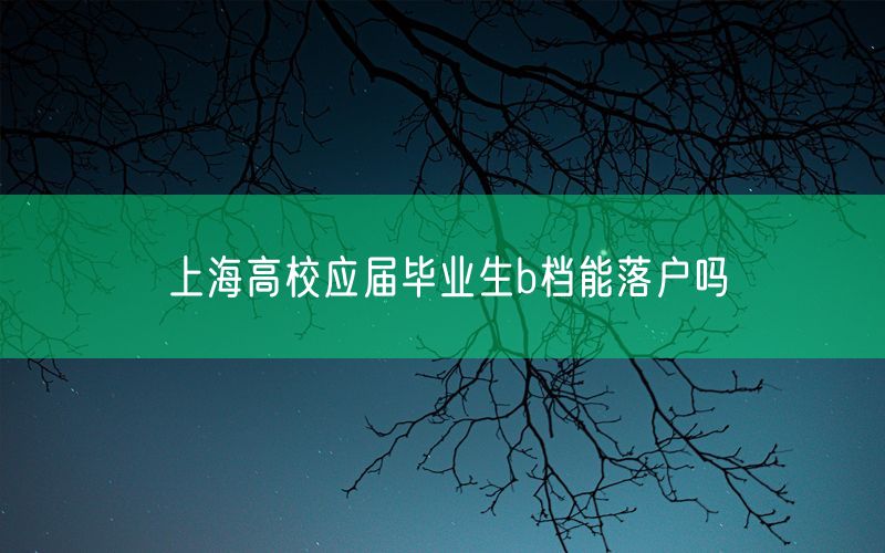 上海高校应届毕业生b档能落户吗