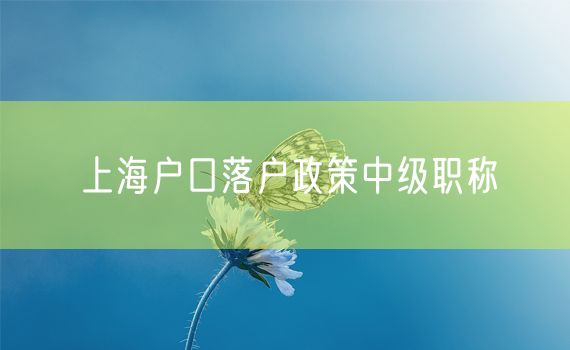 上海户口落户政策中级职称