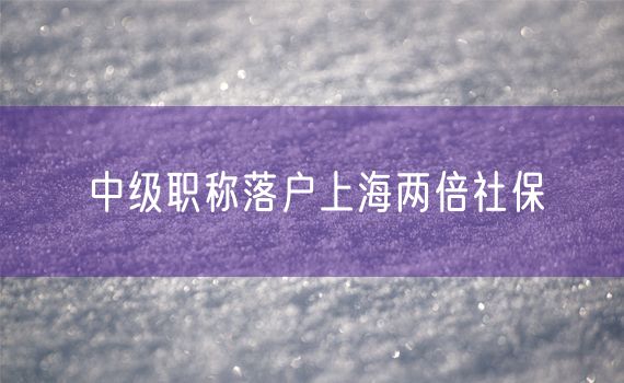 中级职称落户上海两倍社保