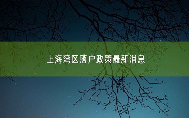 上海湾区落户政策最新消息