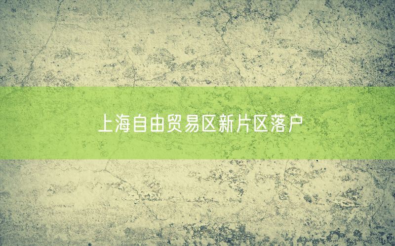 上海自由贸易区新片区落户