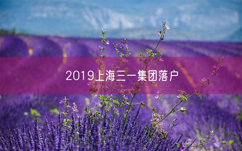 2019上海三一集团落户