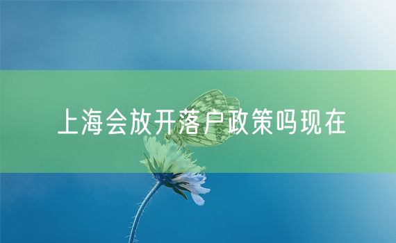 上海会放开落户政策吗现在