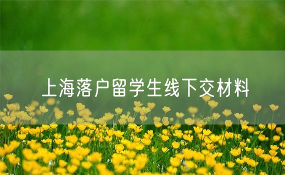 上海落户留学生线下交材料