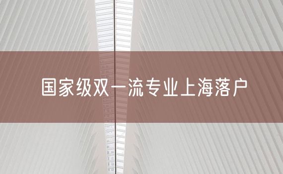 国家级双一流专业上海落户