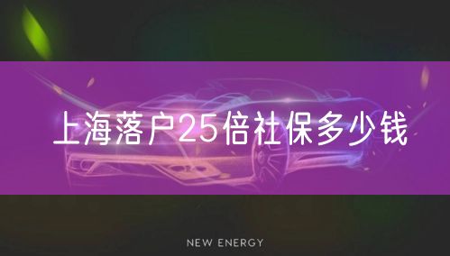 上海落户25倍社保多少钱