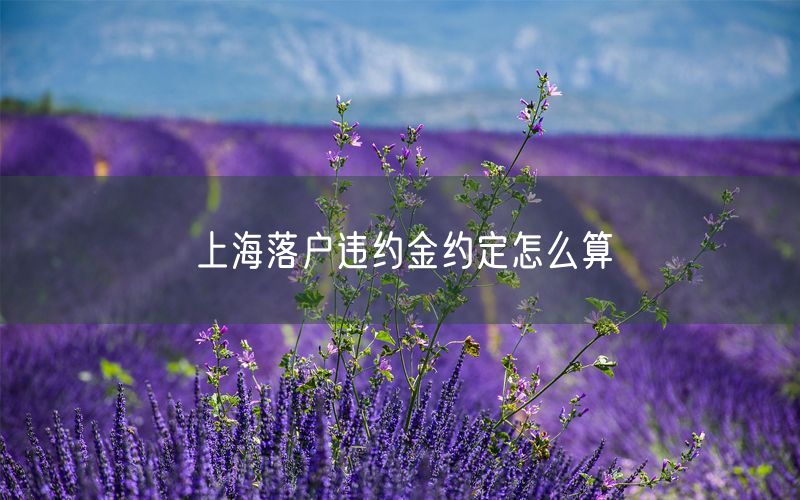 上海落户违约金约定怎么算