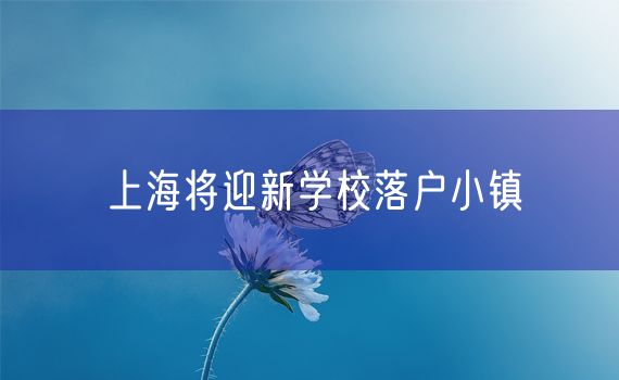 上海将迎新学校落户小镇