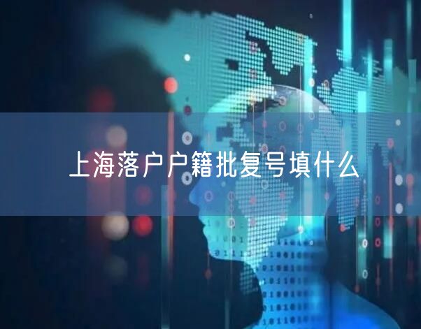 上海落户户籍批复号填什么