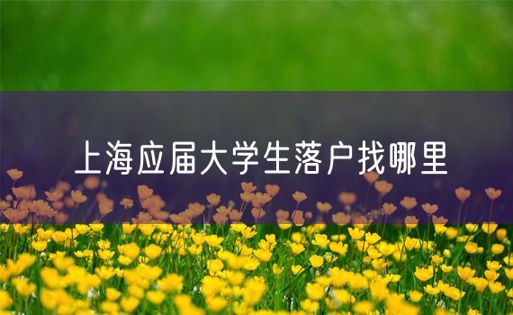 上海应届大学生落户找哪里