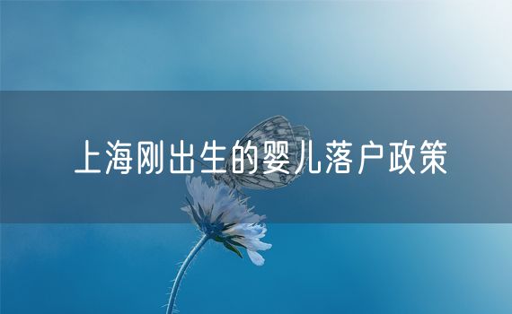 上海刚出生的婴儿落户政策