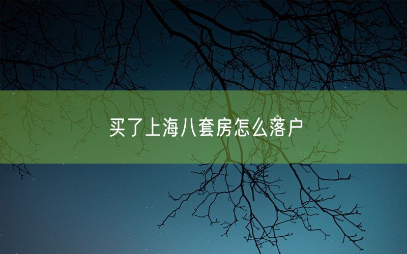 买了上海八套房怎么落户