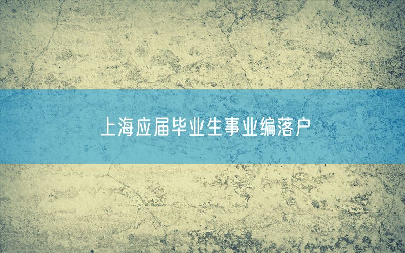 上海应届毕业生事业编落户