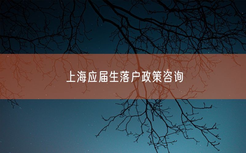 上海应届生落户政策咨询