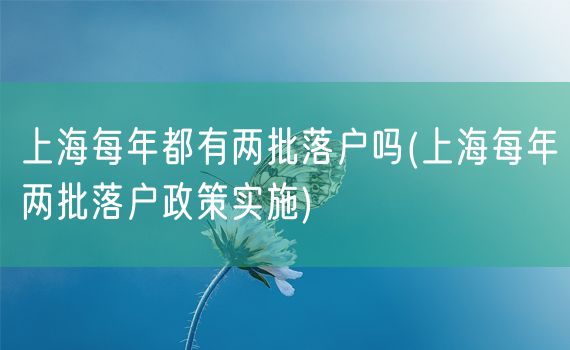 上海每年都有两批落户吗(上海每年两批落户政策实施)