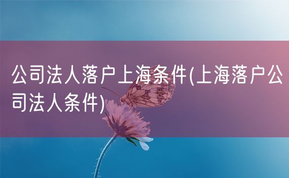 公司法人落户上海条件(上海落户公司法人条件)