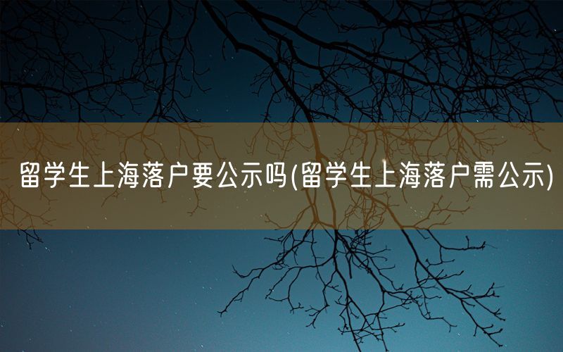 留学生上海落户要公示吗(留学生上海落户需公示)