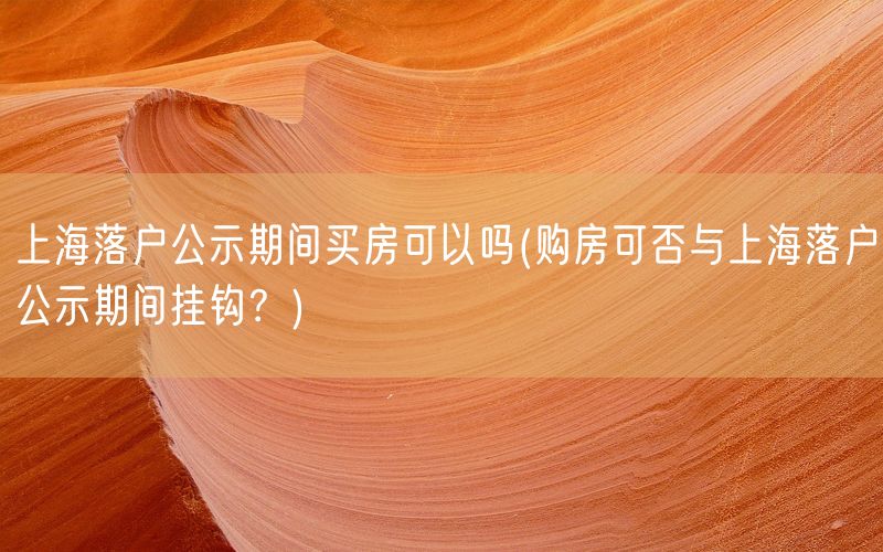 上海落户公示期间买房可以吗(购房可否与上海落户公示期间挂钩？)